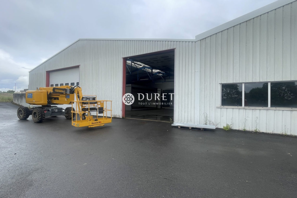 Louer Local professionnel Local professionnel, Fontenay-le-Comte 1400 m2 - LP2100-DURET