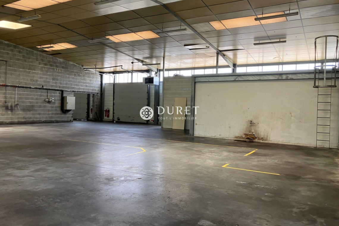 Louer Local industriel Local industriel, Machecoul-Saint-Même 790 m2 - LP2117-DURET