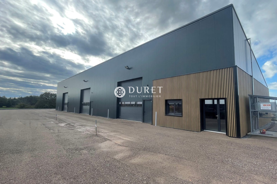 Louer Local professionnel Local professionnel, Nesmy 620 m2 - LP2351-DURET