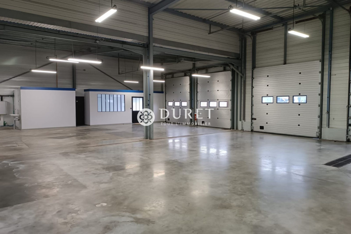 Louer Local professionnel Local professionnel, Fontenay-le-Comte 260 m2 - LP2370-DURET