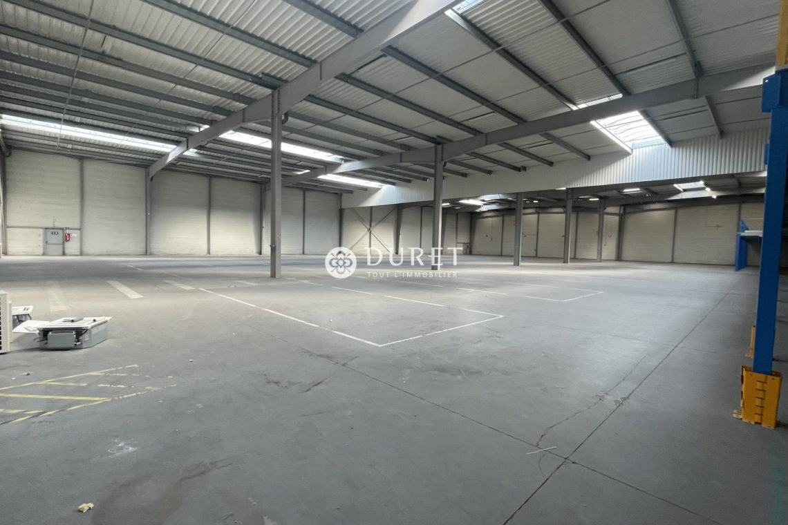 Louer Local professionnel Local professionnel, La Roche-sur-Yon 3500 m2 - LP2393-DURET