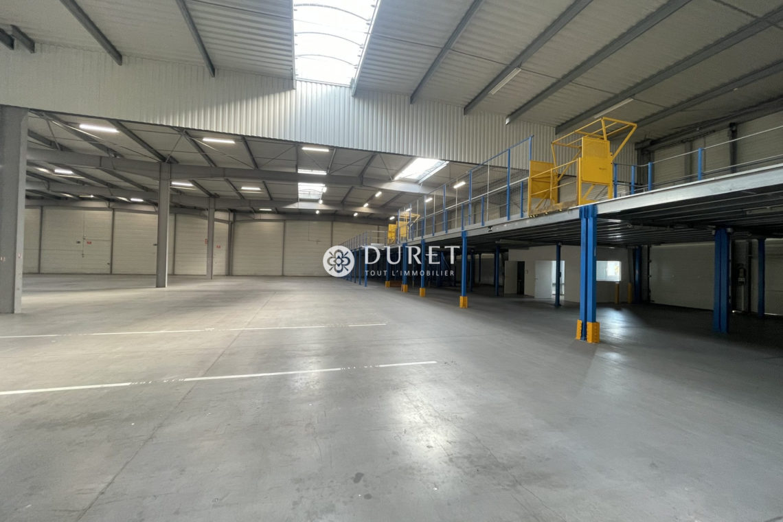 Louer Local professionnel Local professionnel, La Roche-sur-Yon 3500 m2 - LP2393-DURET