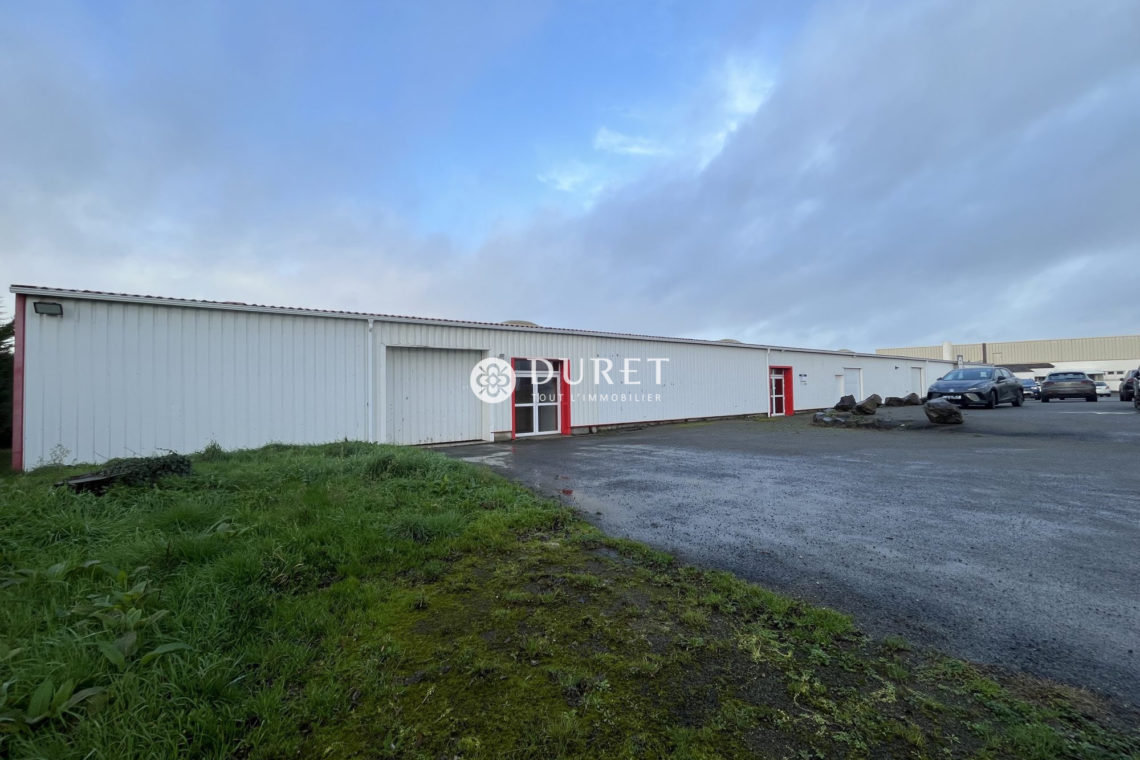 Acheter Local professionnel Local professionnel, Beauvoir-sur-Mer 1200 m2 - VP2498-DURET